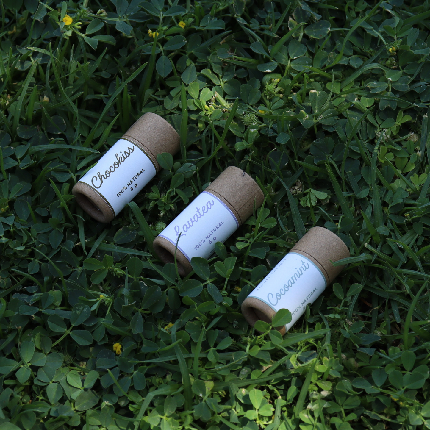 Discovery set | lip balms