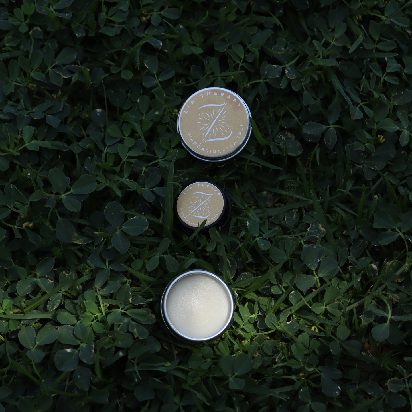 Lip therapy mandarina y tea tree