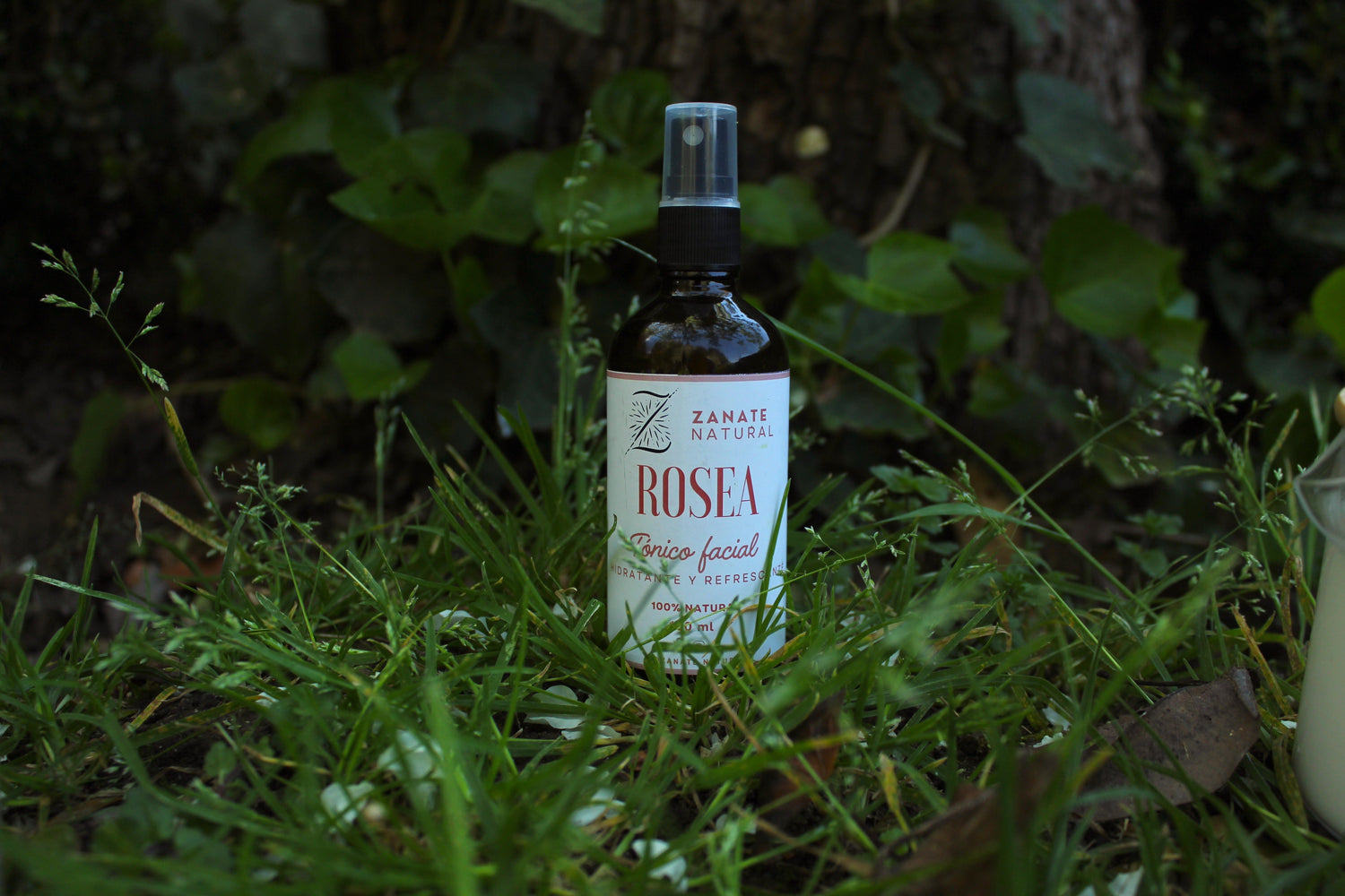 Tónicos Faciles y Aguas floridas