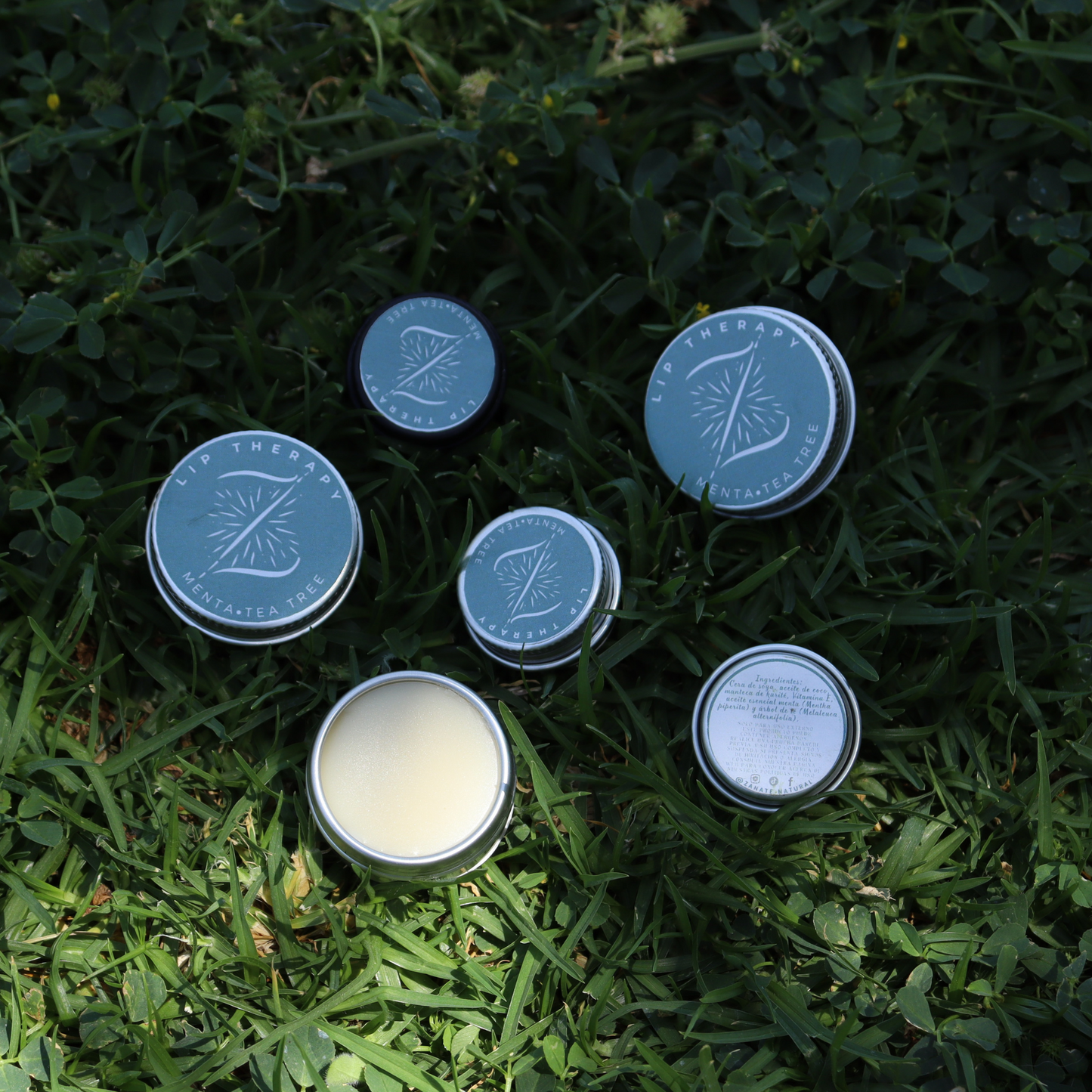 Lip therapy menta y tea tree